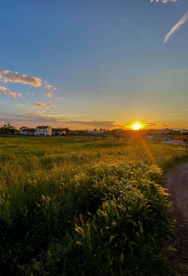 Nest Guesthouse Кастельнуово-дель-Гарда Екстер'єр фото